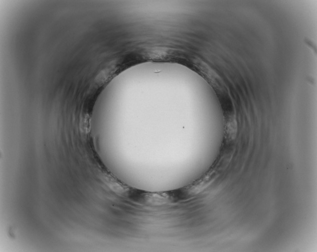 X0000097780525200803211801