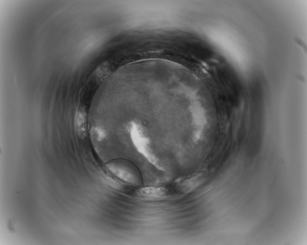 X0000097780526200803211801