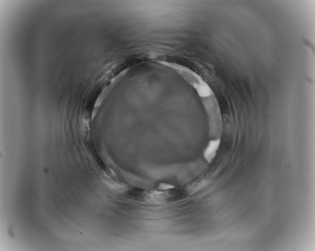 X0000097780527200803211801