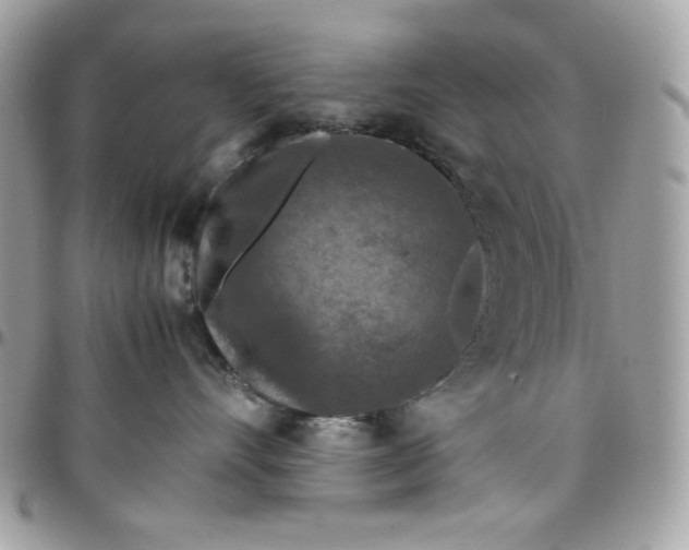 X0000097780528200803211801