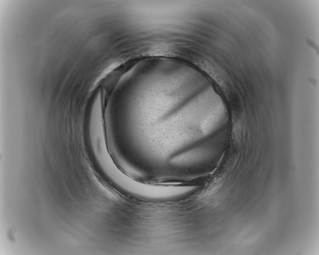 X0000097780530200803211801