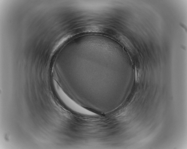 X0000097780531200803211801