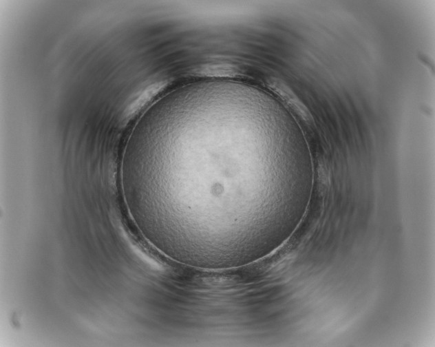 X0000097780533200803211801