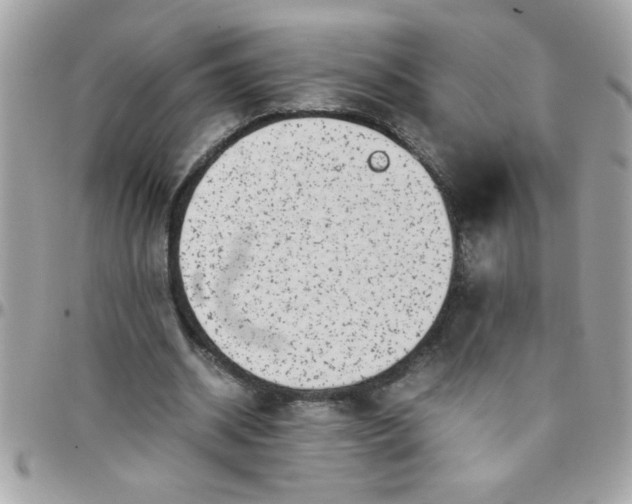 X0000097780534200803211801