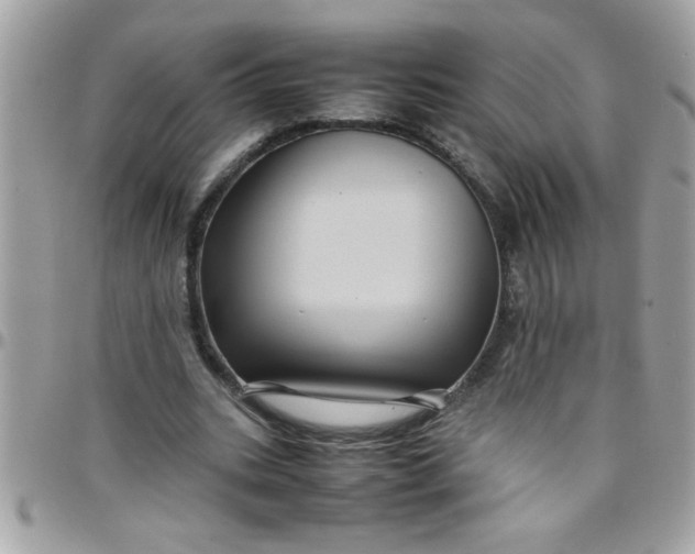 X0000097780535200803211801