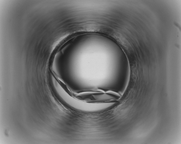 X0000097780536200803211801