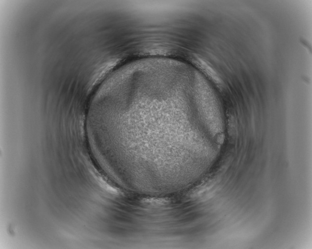 X0000097780537200803211801