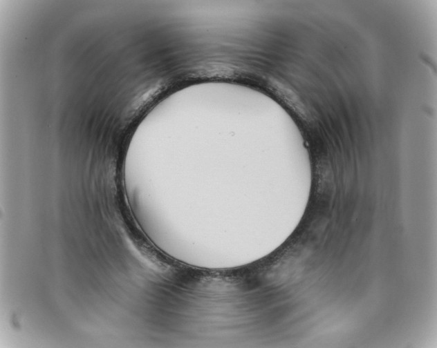 X0000097780538200803211801