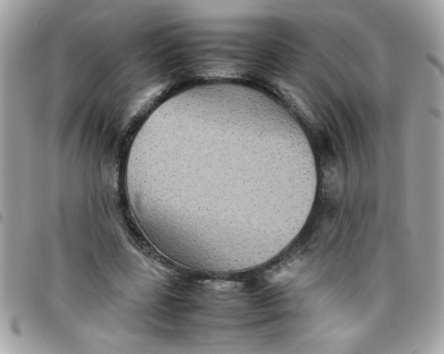 X0000097780539200803211801