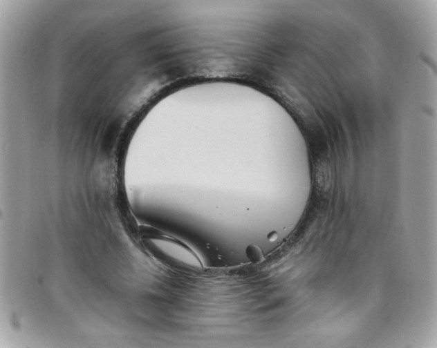 X0000097780540200803211801