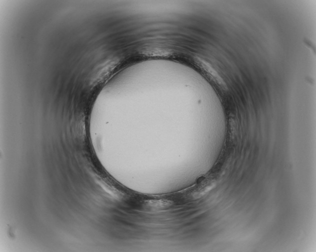 X0000097780541200803211801