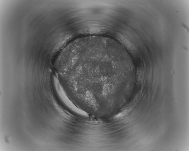 X0000097780542200803211801