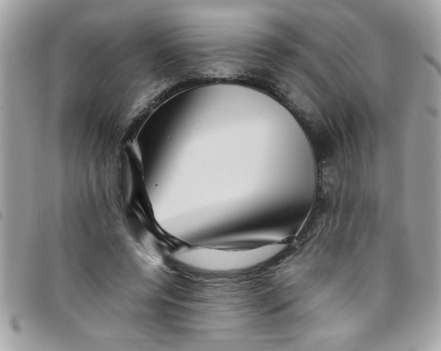 X0000097780544200803211801