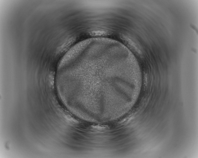 X0000097780545200803211801