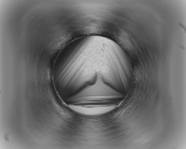 X0000097780546200803211801