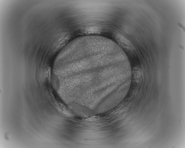 X0000097780550200803211801