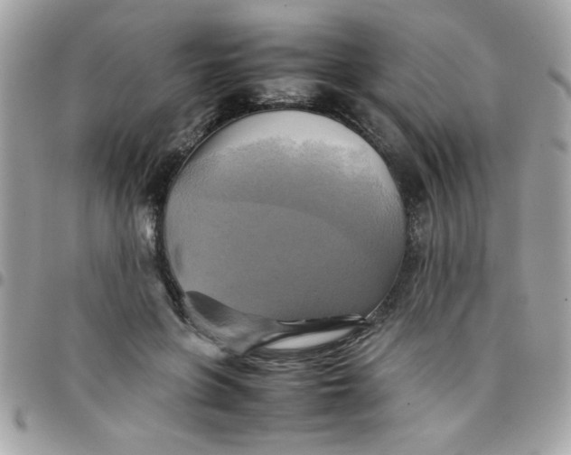 X0000097780551200803211801