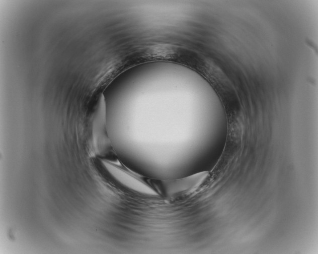 X0000097780552200803211801