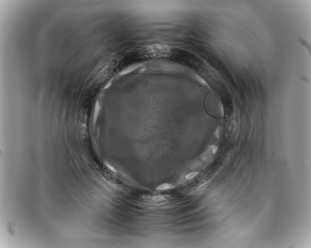 X0000097780553200803211801