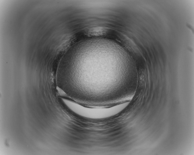 X0000097780555200803211801