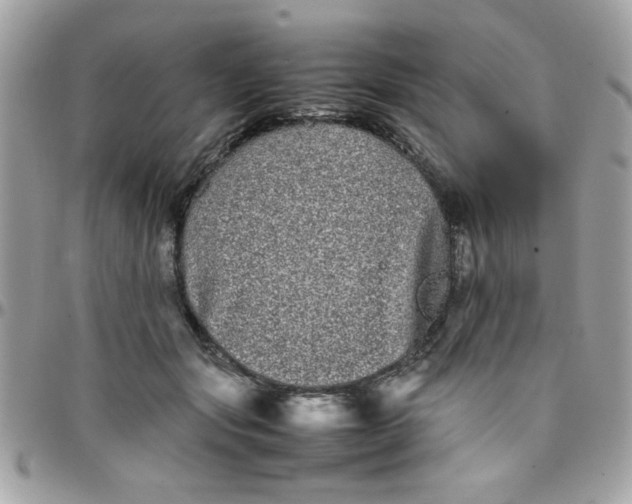 X0000097780557200803211801