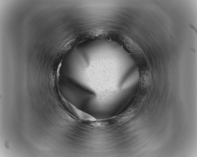 X0000097780558200803211801