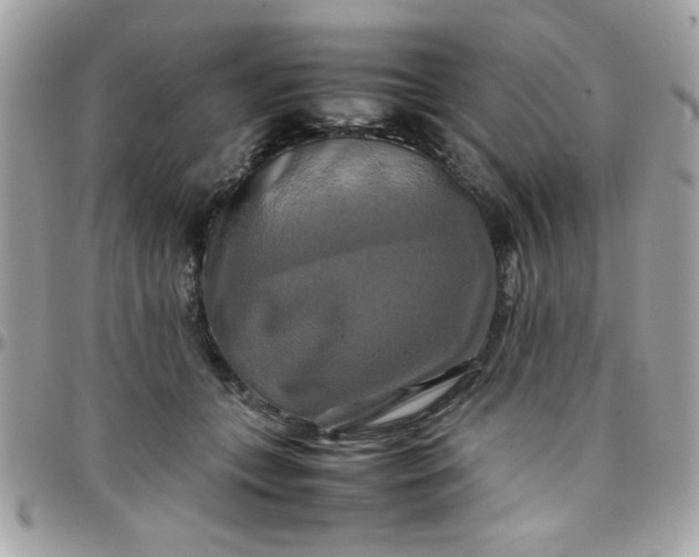 X0000097780559200803211801