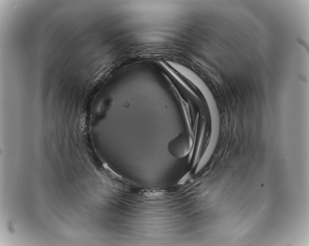 X0000097780560200803211801