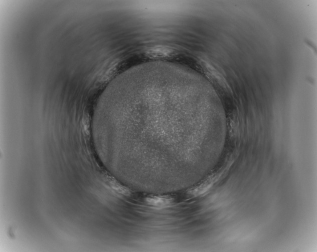 X0000097780561200803211801