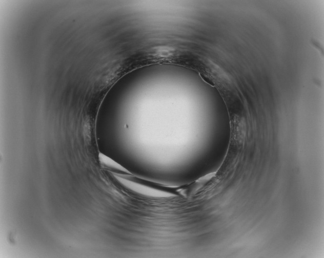 X0000097780562200803211801