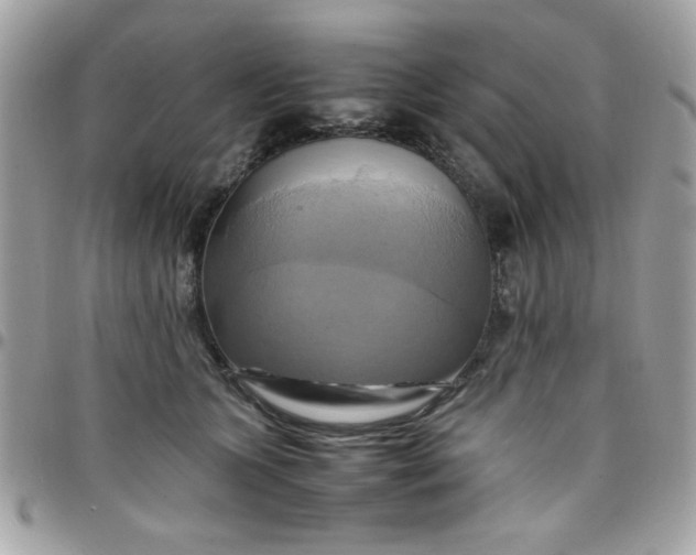 X0000097780563200803211801