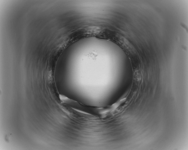 X0000097780564200803211801