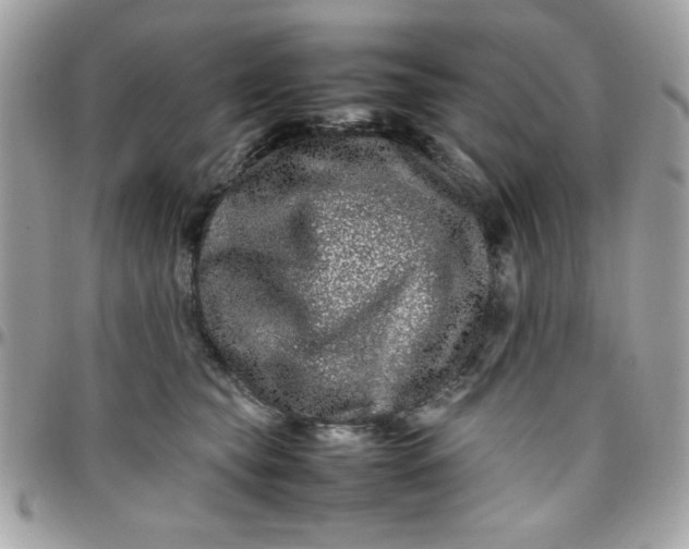 X0000097780565200803211801