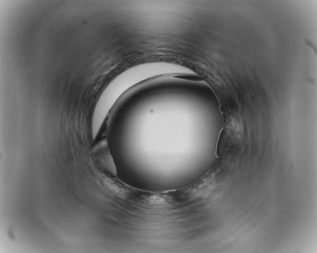 X0000097780566200803211801