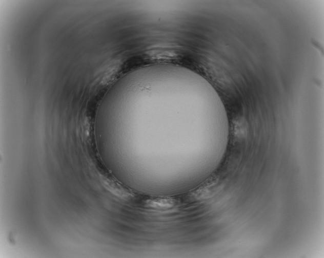 X0000097780567200803211801