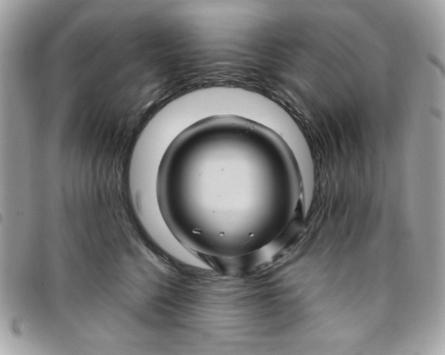 X0000097780568200803211801