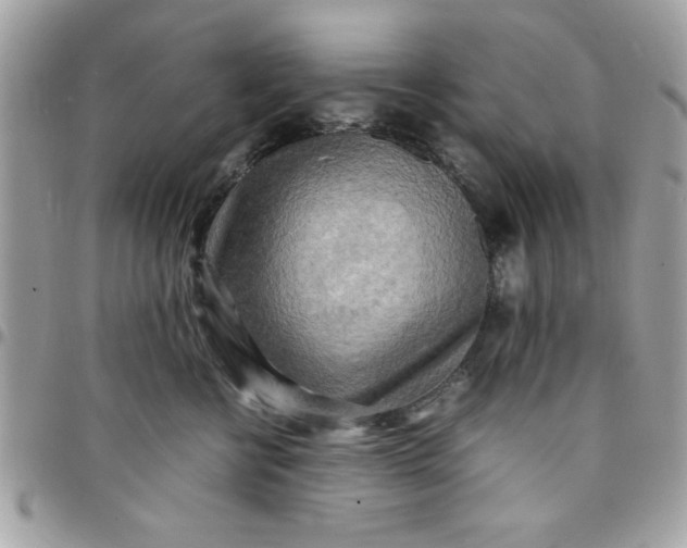 X0000097780570200803211801