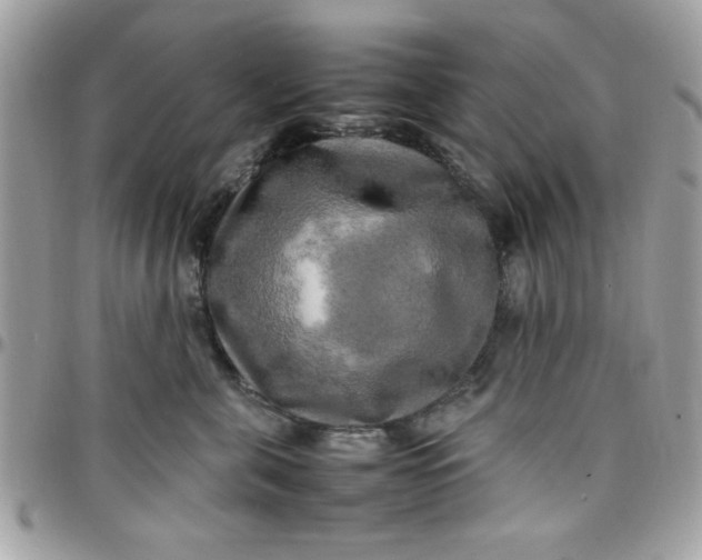 X0000097780571200803211801