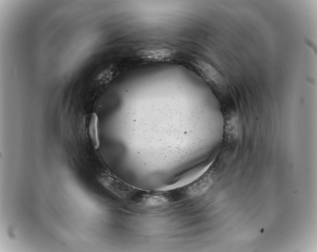 X0000097780572200803211801