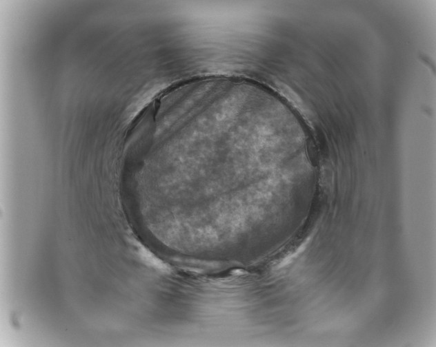 X0000097780577200803211801