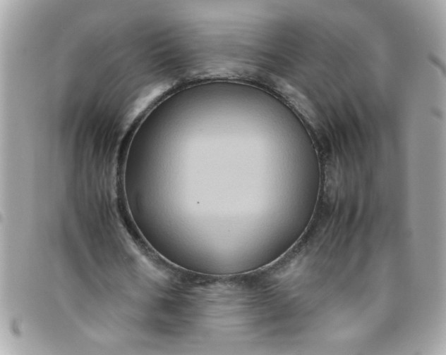 X0000097780578200803211801