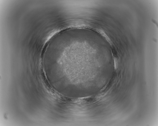 X0000097780579200803211801