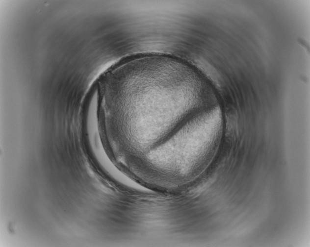 X0000097780580200803211801