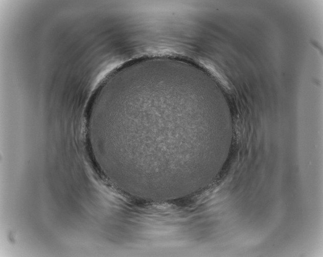 X0000097780583200803211801