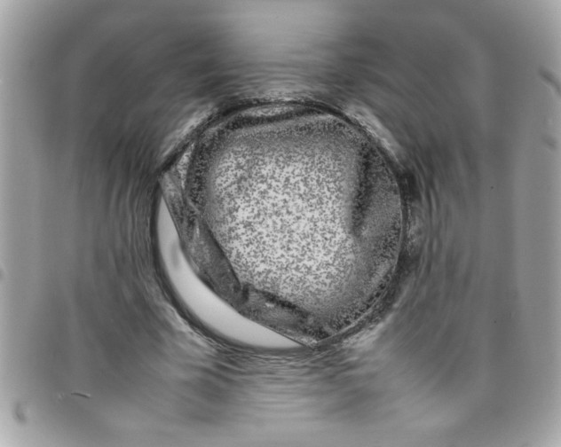 X0000097780585200803211801