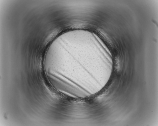 X0000097780586200803211801