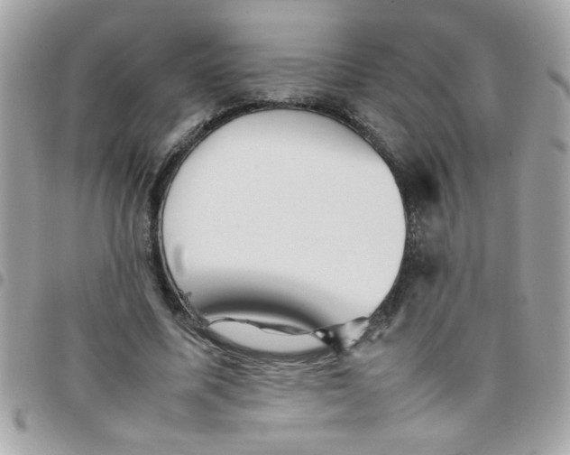 X0000097780587200803211801