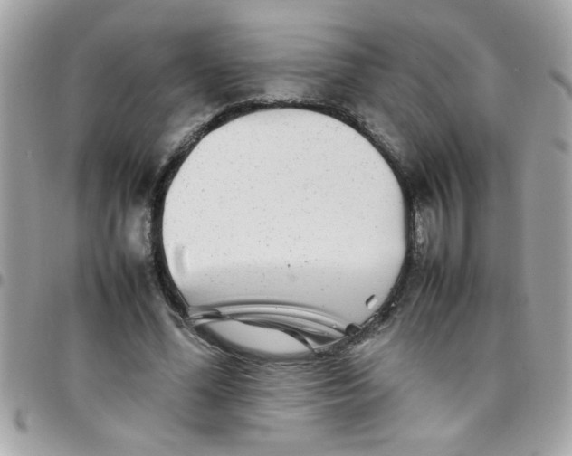 X0000097780588200803211800