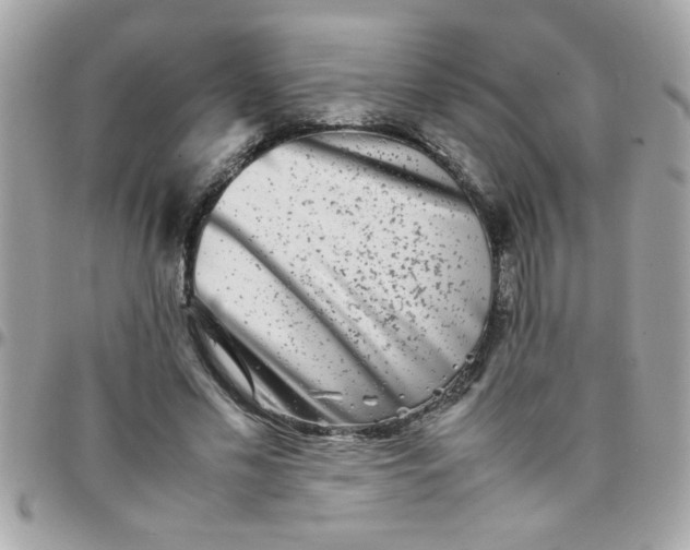 X0000097780589200803211800