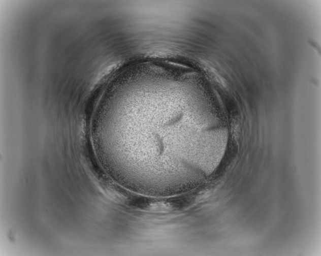 X0000097780591200803211800